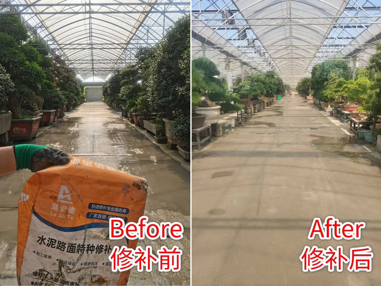 Jiangsu Flower Market Pavement Renovation with Four Repair Material Colors